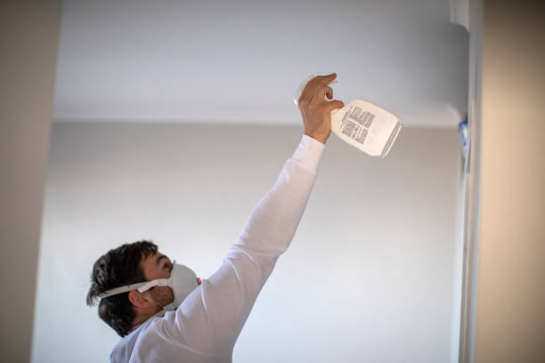 Best Toxic Mold Removal  in Summersville, WV