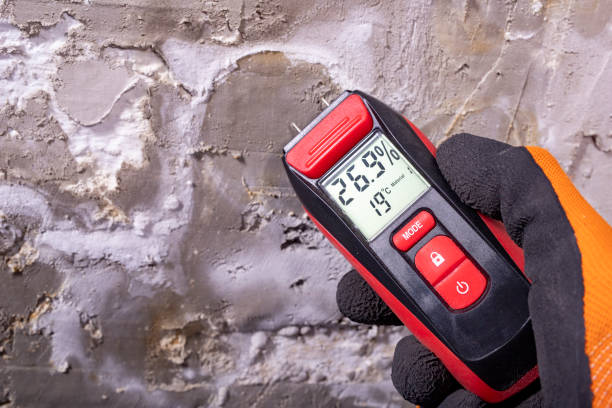 Best Home Mold Removal  in Summersville, WV