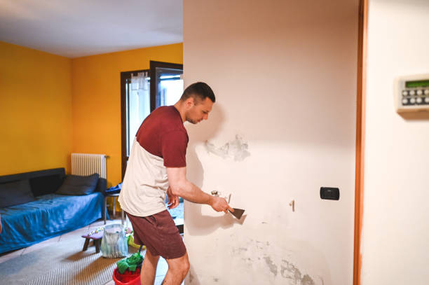 Best Mold Removal Company Near Me  in Summersville, WV