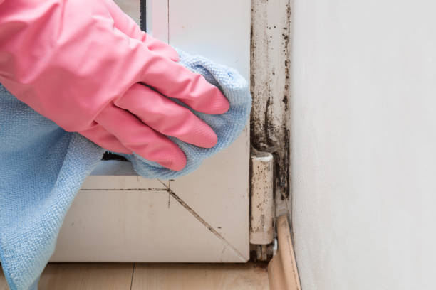 Best Mold Testing  in Summersville, WV